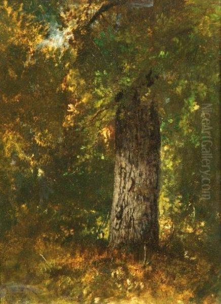 Etude D'arbres Oil Painting by Narcisse-Virgile D Az De La Pena