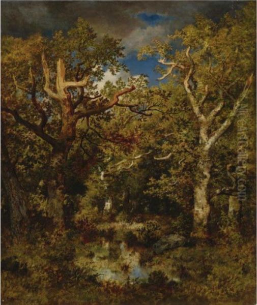 Mare En Foret, Chene Demi-mort Oil Painting by Narcisse-Virgile D Az De La Pena