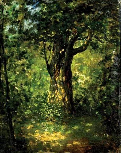 Sun Dappled Tree In A Forest Clearing Oil Painting by Narcisse-Virgile D Az De La Pena