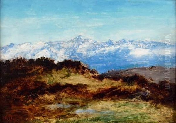 Chaine Des Pyrenees, Pic Du Midi-de-bigorre Oil Painting by Narcisse-Virgile D Az De La Pena