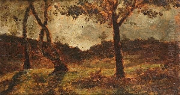 Study Of Trees, Fontainbleau Oil Painting by Narcisse-Virgile D Az De La Pena