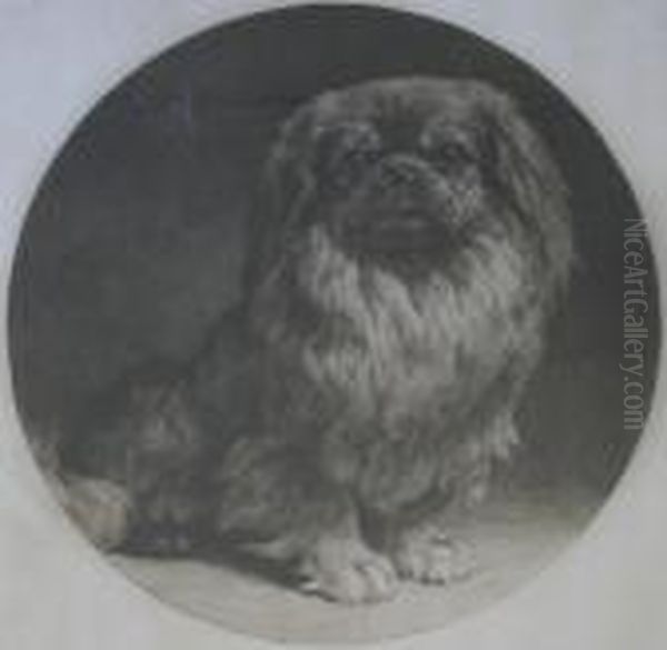 A Pekinese Oil Painting by Herbert Thomas Dicksee