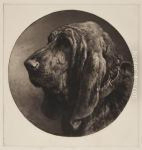 Head Of A Bloodhound Oil Painting by Herbert Thomas Dicksee