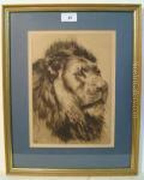 Head And Mane Of A Lion Oil Painting by Herbert Thomas Dicksee