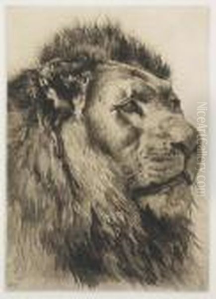 Head Of A Lion Oil Painting by Herbert Thomas Dicksee