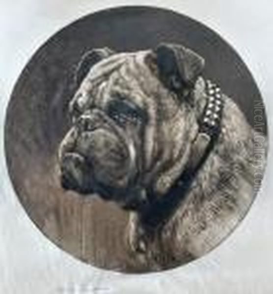 Head Of A Bulldog Oil Painting by Herbert Thomas Dicksee