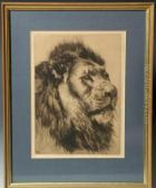 Portrait Of A Lion Oil Painting by Herbert Thomas Dicksee