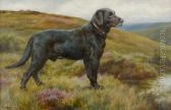 Old Bridge Bob; A Black Labrador Retriever Oil Painting by Herbert Thomas Dicksee