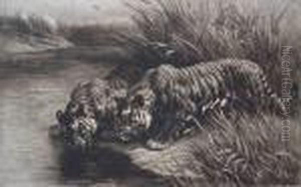 Two Tigers By A Stream Oil Painting by Herbert Thomas Dicksee