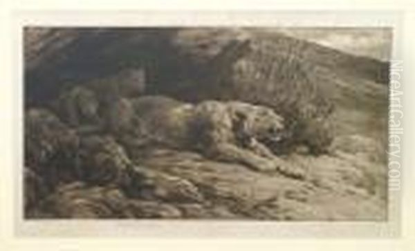 R.e. Lioness And Her Cubs 
Beside An Entrance To A Cave Signed Artist's Proof, Published By Frost 
& Reed 1910, Black And White Drypoint Etching, 34cm By 56cm Oil Painting by Herbert Thomas Dicksee