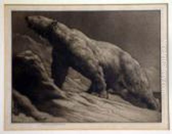 Polar Bear Signed In Pencil And Blindstamped 8 X 10.5in Oil Painting by Herbert Thomas Dicksee