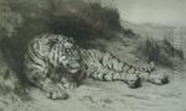 Tiger Resting. Oil Painting by Herbert Thomas Dicksee