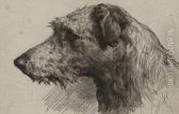 A Scottish Deerhound Oil Painting by Herbert Thomas Dicksee