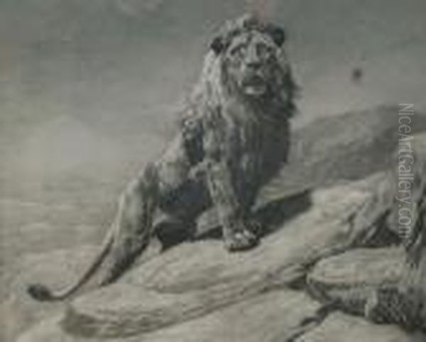 Lion On A Rocky Outcrop Oil Painting by Herbert Thomas Dicksee