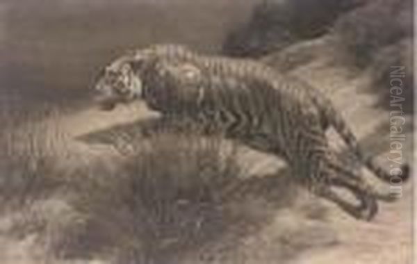 Tiger Oil Painting by Herbert Thomas Dicksee