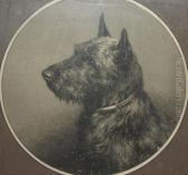 The Head Of A Highland Terrier Oil Painting by Herbert Thomas Dicksee