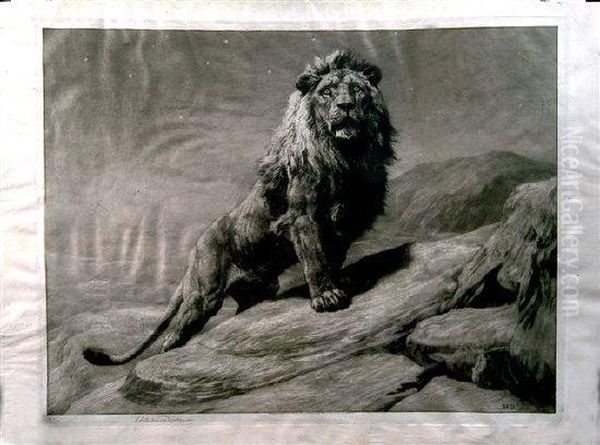 A Lion Perched Upon A Rock Oil Painting by Herbert Thomas Dicksee