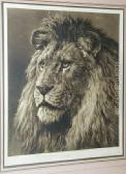 Study Of A Lion's Head Oil Painting by Herbert Thomas Dicksee