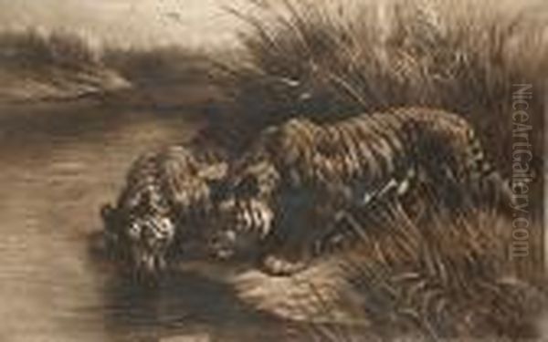 Tigers Watering Oil Painting by Herbert Thomas Dicksee