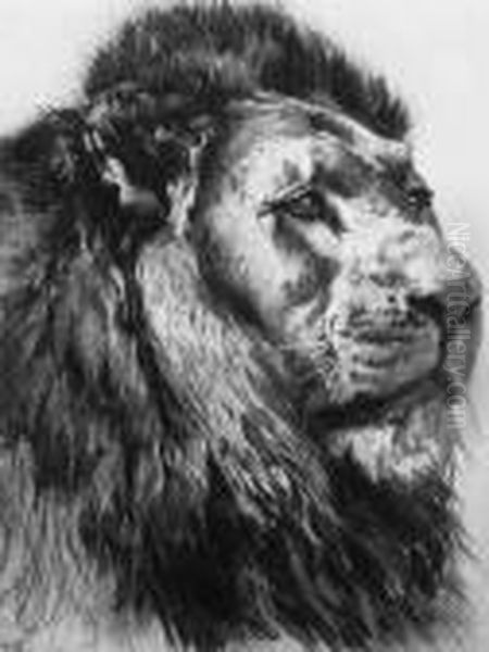 Lion's Head Oil Painting by Herbert Thomas Dicksee