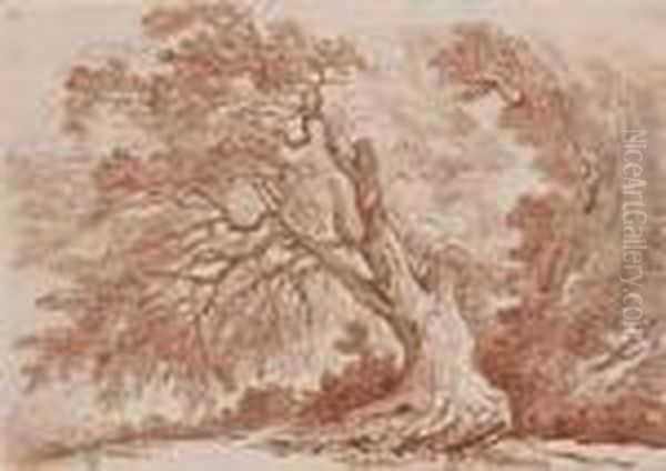 Etude D'arbre Oil Painting by Christian Wilhelm Ernst Dietrich