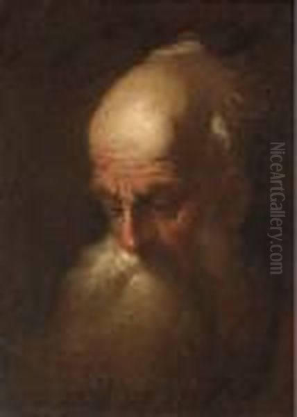 Head Of An Old Man Oil Painting by Christian Wilhelm Ernst Dietrich