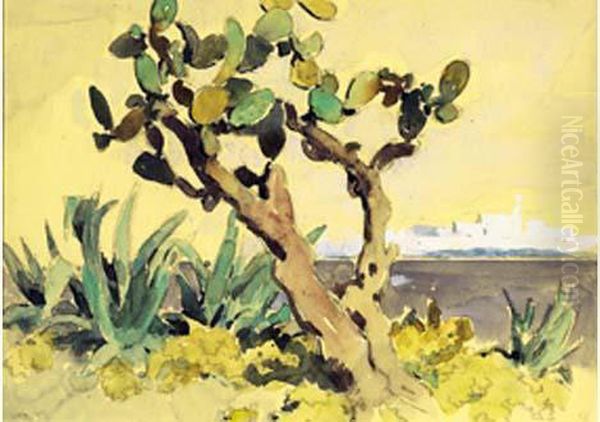 Cactus Et Aloes Aux Environs De Rabat Oil Painting by Edouard Doigneau