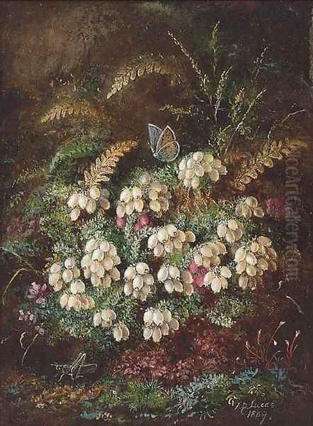 Heather and a butterfly Oil Painting by Albert Durer Lucas