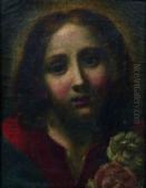 L'enfant Jesus En Buste Decore De Roses Oil Painting by Carlo Dolci