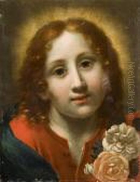 Gesu Bambino Con Rose In Mano Oil Painting by Carlo Dolci