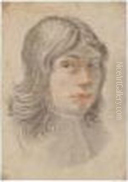 Portrait Of A Young Man, Drawn In An Oval Oil Painting by Carlo Dolci