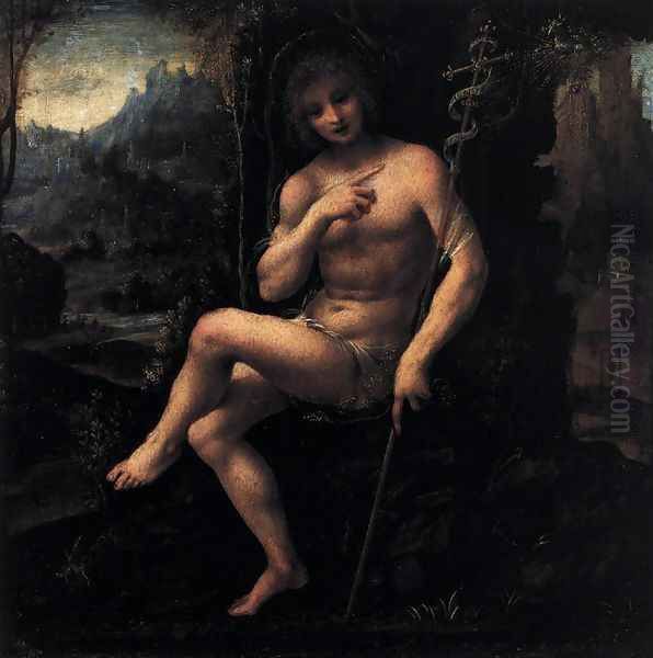 St John the Baptist in the Wilderness Oil Painting by Bernardino Lanino