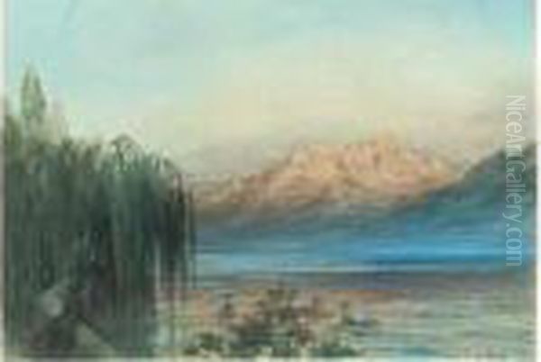 Femme Au Bord Du Lac Leman Au Soleil Couchant Oil Painting by Gustave Dore