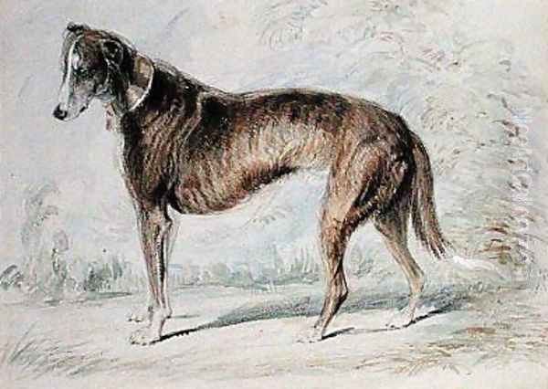 Lurcher Oil Painting by Charles Landseer