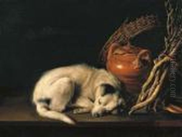 A Sleeping Dog Beside A 
Terracotta Jug, A Basket, A Pair Of Clogsand A Pile Of Kindling Wood Oil Painting by Gerrit Dou