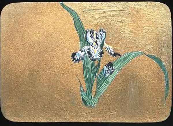 Iris Oil Painting by Christopher Grant La Farge