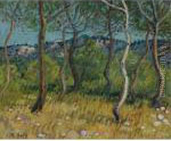 Paysage Aux Martigues Oil Painting by Raoul Dufy