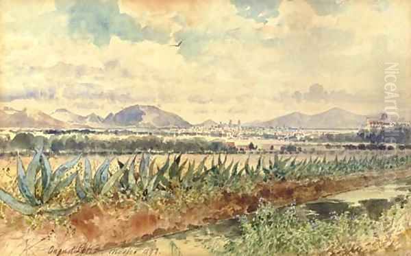 Volcan y magueyes Oil Painting by August Lohr