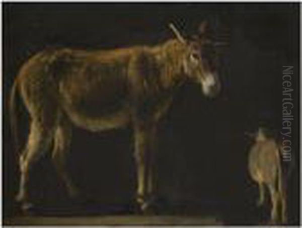 Studies Of A Donkey Oil Painting by Karel Dujardin