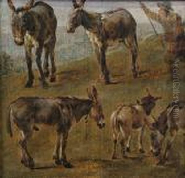 A Landscape With Studies Of Four Donkeys And A Foal, A Herdsman Nearby Oil Painting by Karel Dujardin