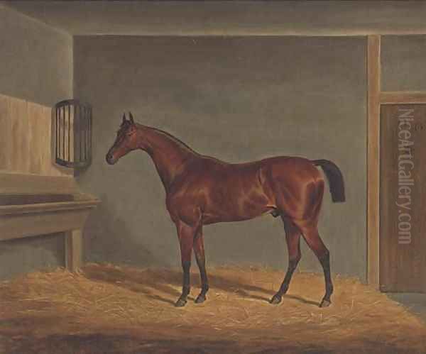 A bay racehorse in a stable Oil Painting by James Loder