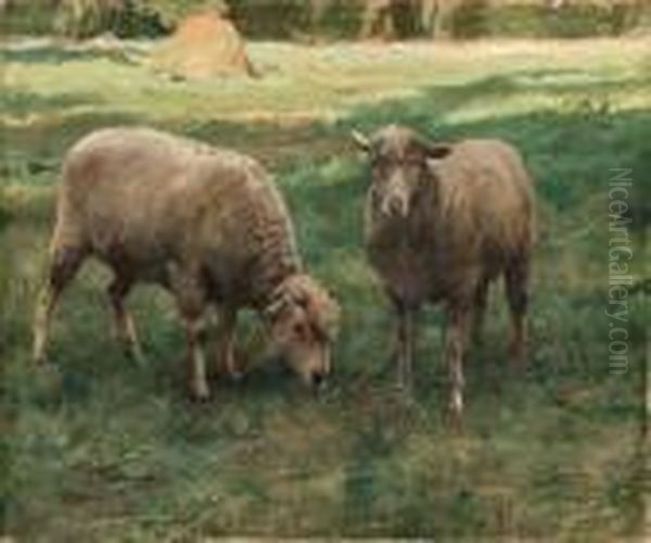 Moutons Dans Une Prairie Oil Painting by Julien Dupre