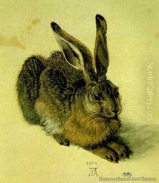 A Young Hare Oil Painting by Albrecht Durer