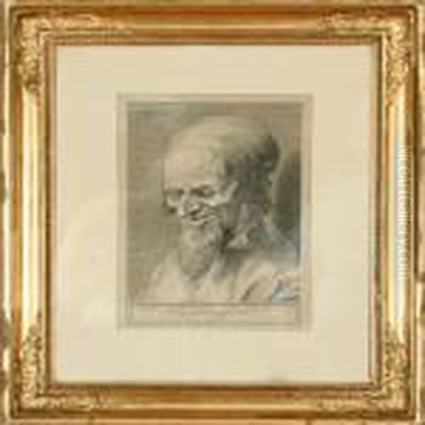 A Gentleman's Portrait. Signed 
Monogram In The Print. Recent Print. Etching. Visible Size 38 X 25 Cm Oil Painting by Albrecht Durer