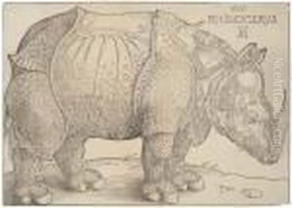 Rhinoceros Oil Painting by Albrecht Durer