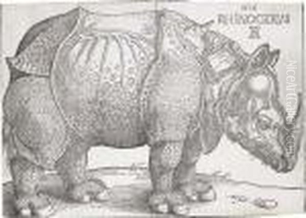 The Rhinoceros Oil Painting by Albrecht Durer