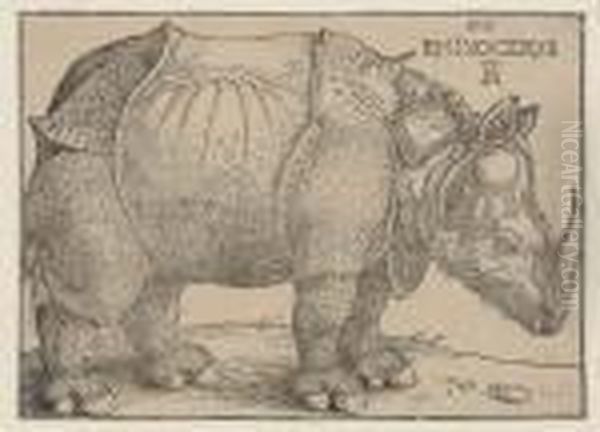 A Rhinoceros Oil Painting by Albrecht Durer