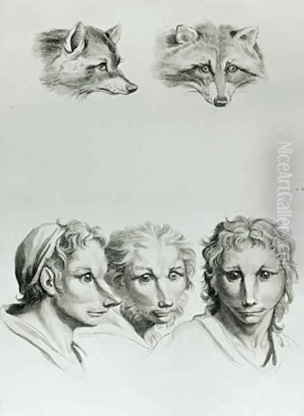 Similarities Between the Head of a Fox and a Man by Charles Le Brun