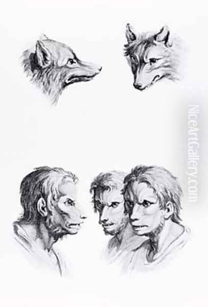 Similarities Between the Head of a Wolf and a Man Oil Painting by Charles Le Brun