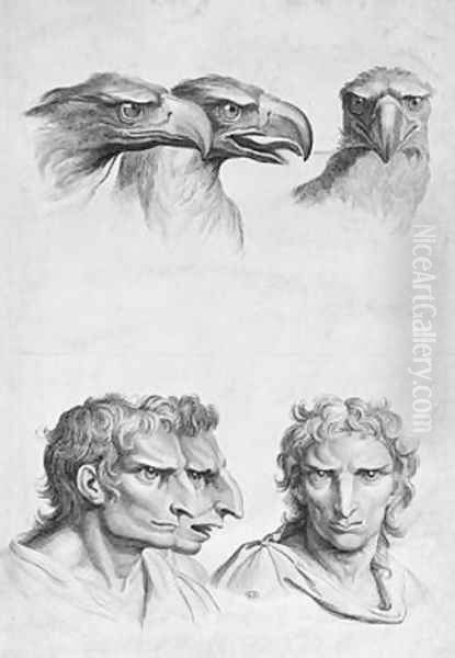 Similarities Between the Head of an Eagle and a Man Oil Painting by Charles Le Brun